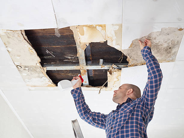 Best Mold Removal for HVAC Installations  in Rmichael, CA